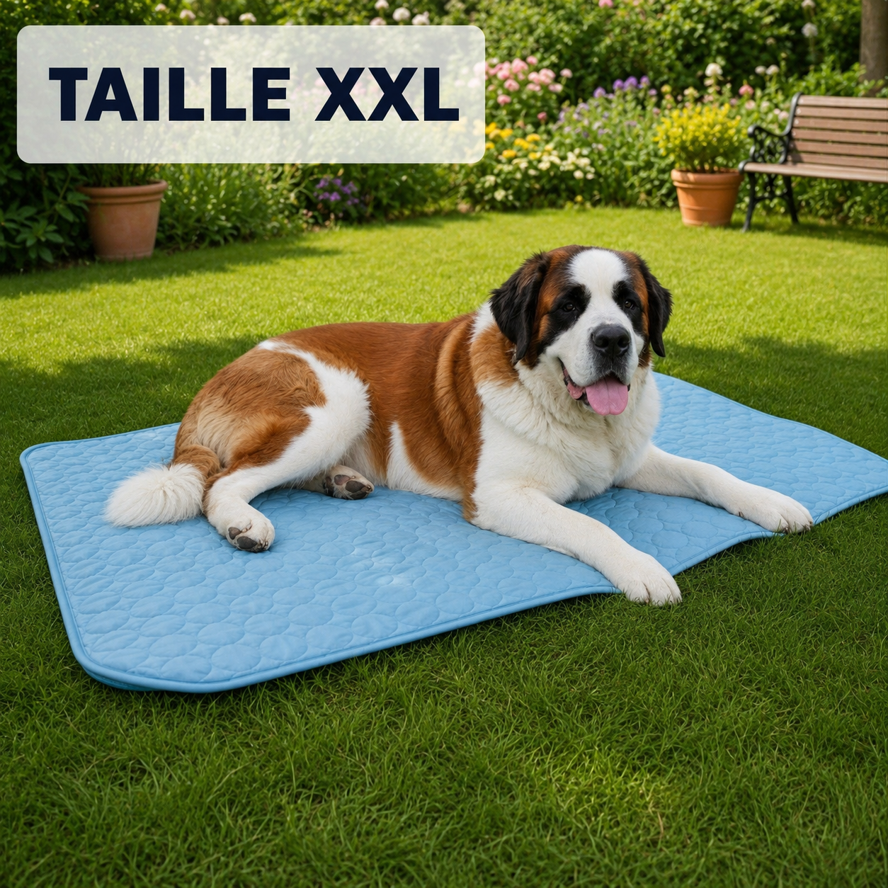 Tapis rafraîchissant pour chien Altoyaa™
