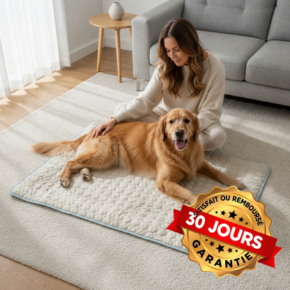 Tapis rafraîchissant pour chien Altoyaa™