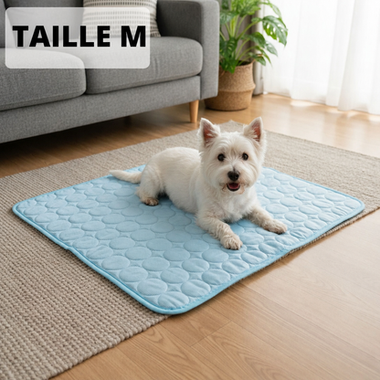 Tapis rafraîchissant pour chien Altoyaa™