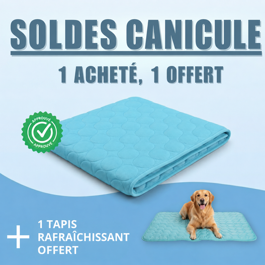 Tapis rafraîchissant pour chien Altoyaa™
