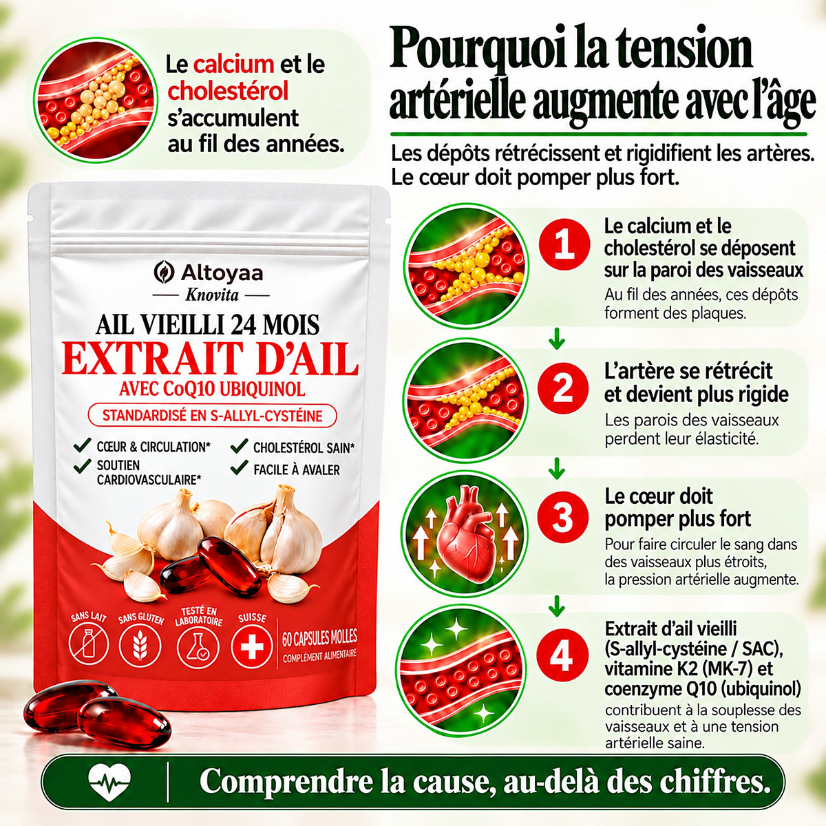 Altoyaa – Extrait d'ail maturé 24 mois avec CoQ10 et vitamine K2