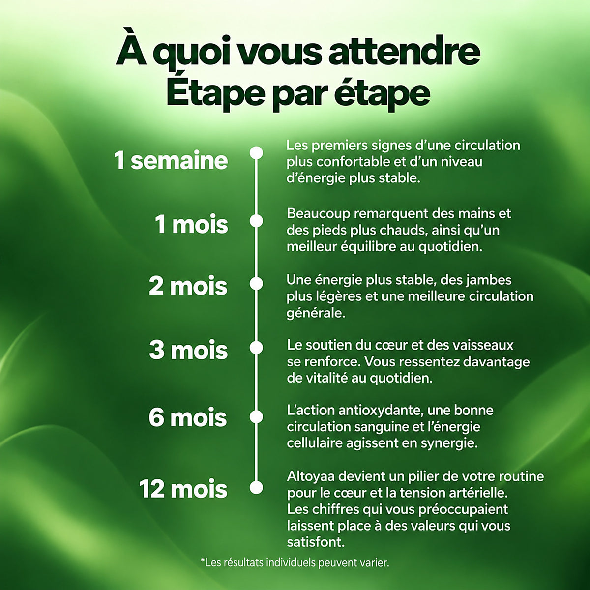 Altoyaa – Extrait d'ail maturé 24 mois avec CoQ10 et vitamine K2