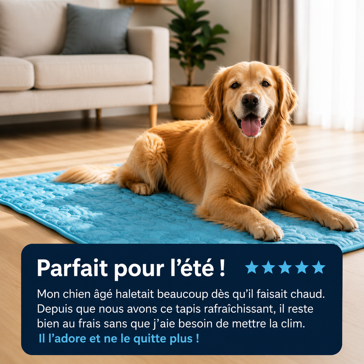 Tapis rafraîchissant pour chien Altoyaa™