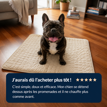 Tapis rafraîchissant pour chien Altoyaa™