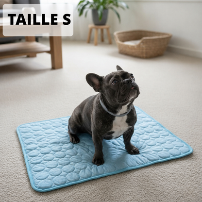 Tapis rafraîchissant pour chien Altoyaa™
