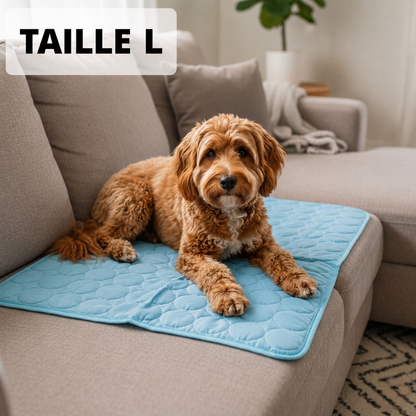 Tapis rafraîchissant pour chien Altoyaa™