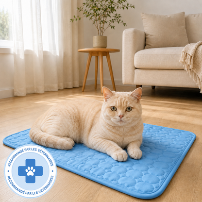 Tapis rafraîchissant Altoyaa (2 pour 1)