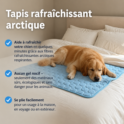 Tapis rafraîchissant pour chien Altoyaa™