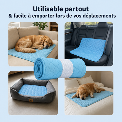 Tapis rafraîchissant pour chien Altoyaa™