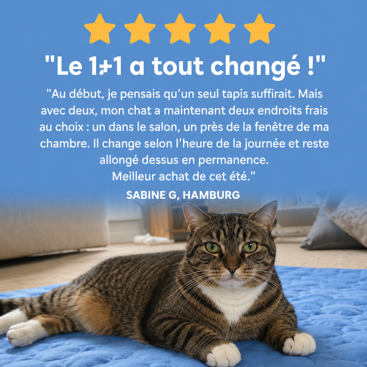 Tapis rafraîchissant Altoyaa (2 pour 1)