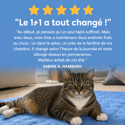 Tapis rafraîchissant Altoyaa (2 pour 1)