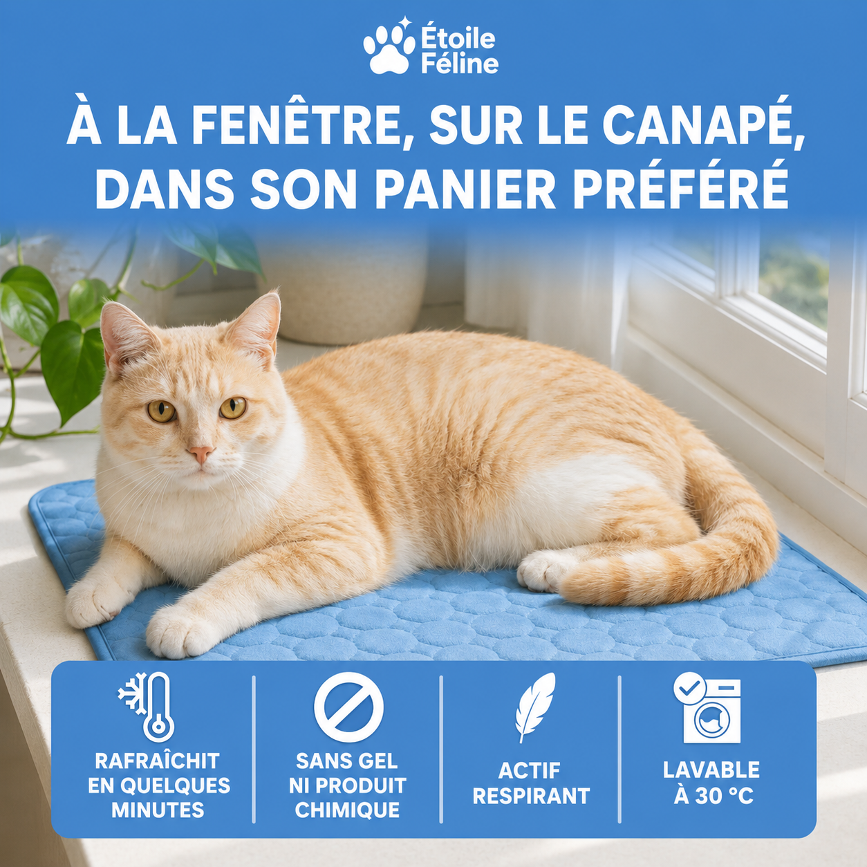 Tapis rafraîchissant Altoyaa (2 pour 1)