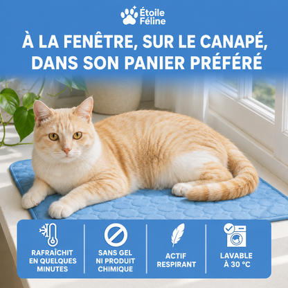 Tapis rafraîchissant Altoyaa (2 pour 1)