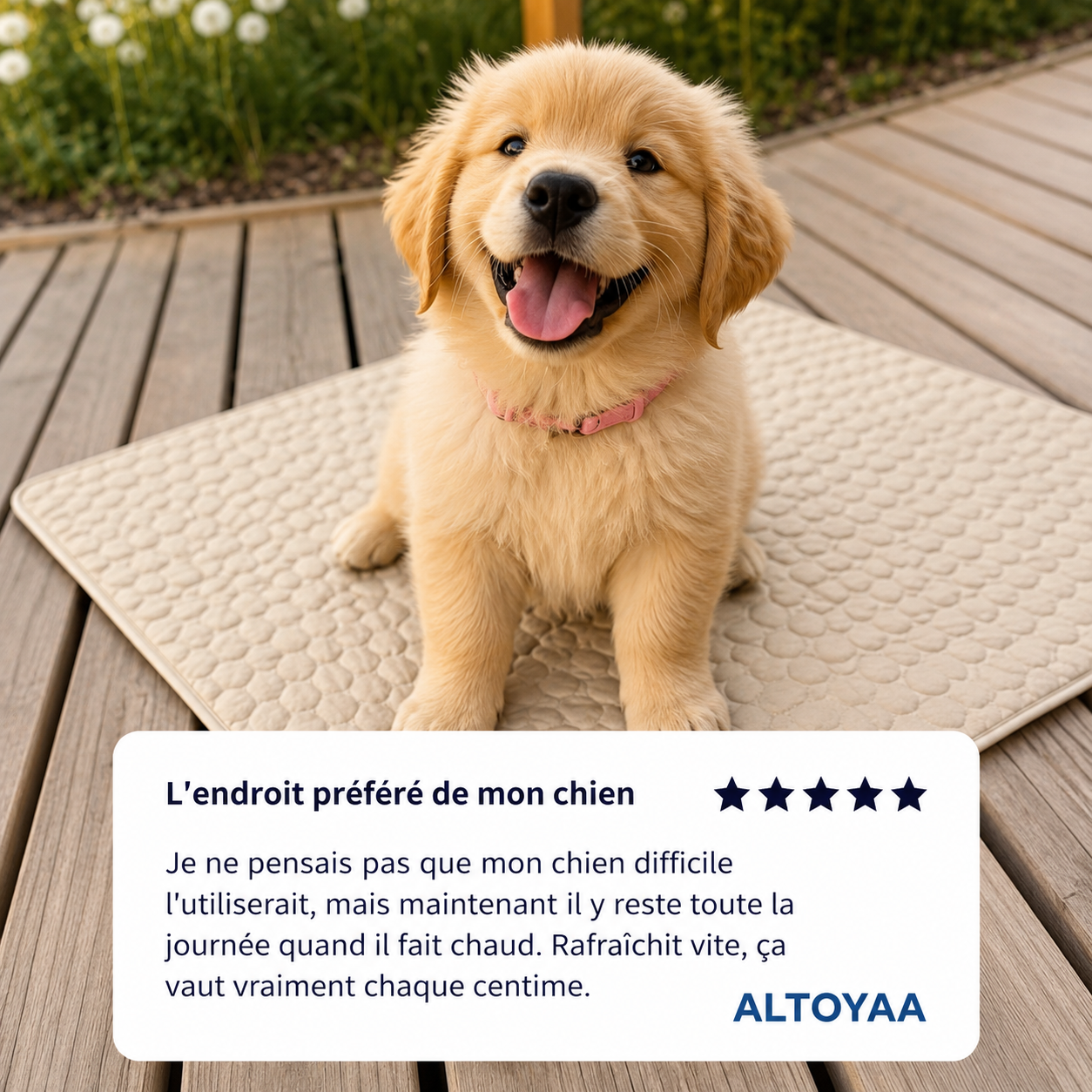 Tapis rafraîchissant pour chien Altoyaa™
