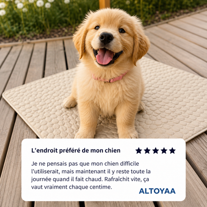 Tapis rafraîchissant pour chien Altoyaa™
