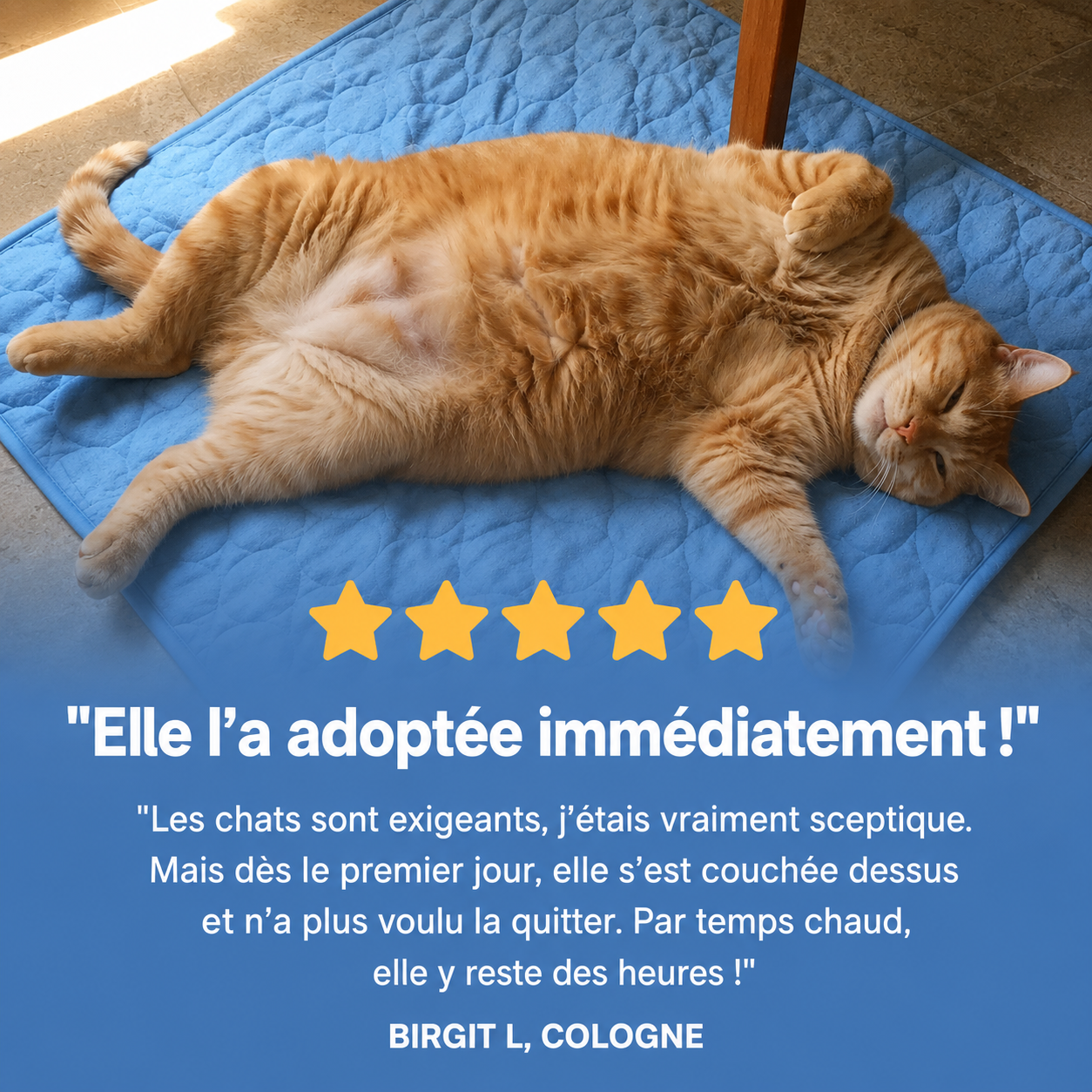Tapis rafraîchissant Altoyaa (2 pour 1)