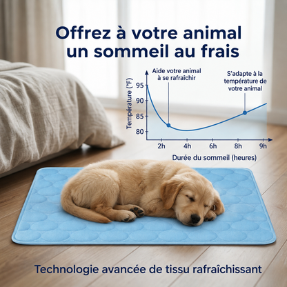 Tapis rafraîchissant pour chien Altoyaa™