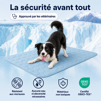 Tapis rafraîchissant pour chien Altoyaa™