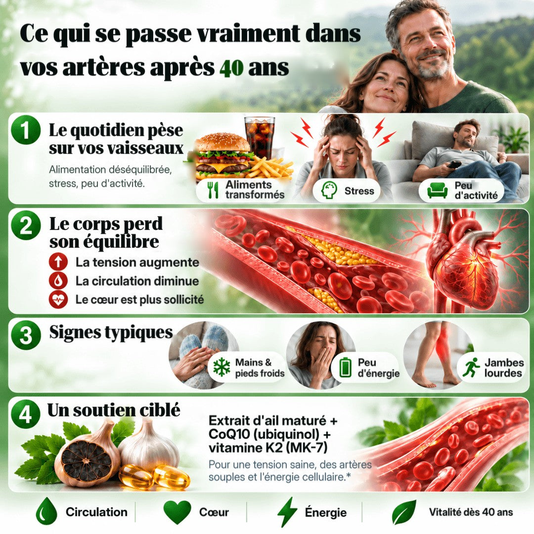 Les artères après 40 ans